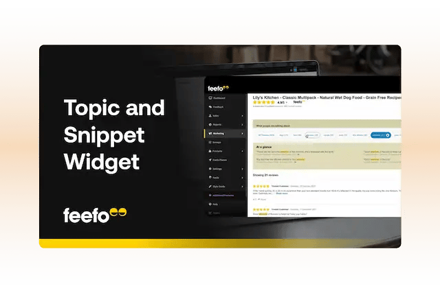 Topic_and_Snippet_Widgets