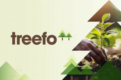Treefo_thumbnail-1